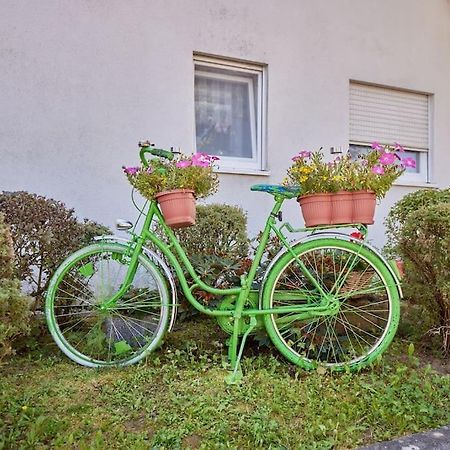 Apartmán Mona - Idyllisches Oertchen Buchen  Exteriér fotografie
